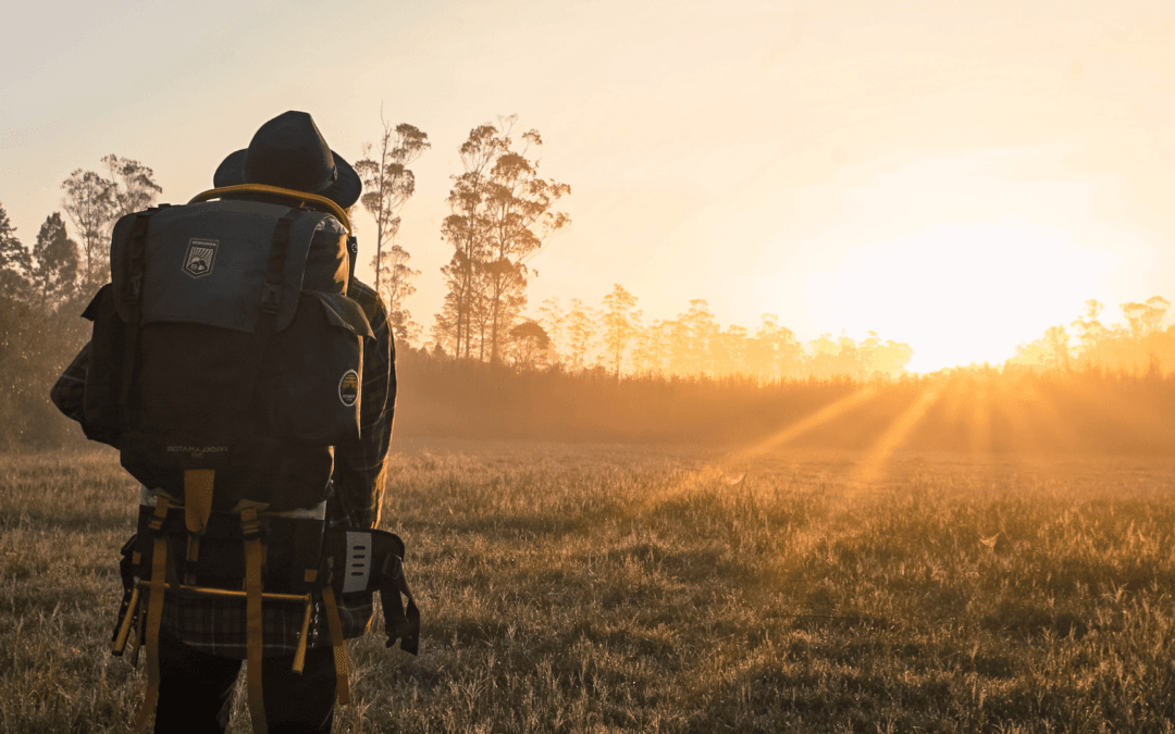 2025 Divorce Holiday Survival Guide