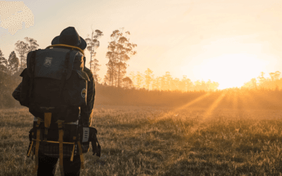 2025 Divorce Holiday Survival Guide